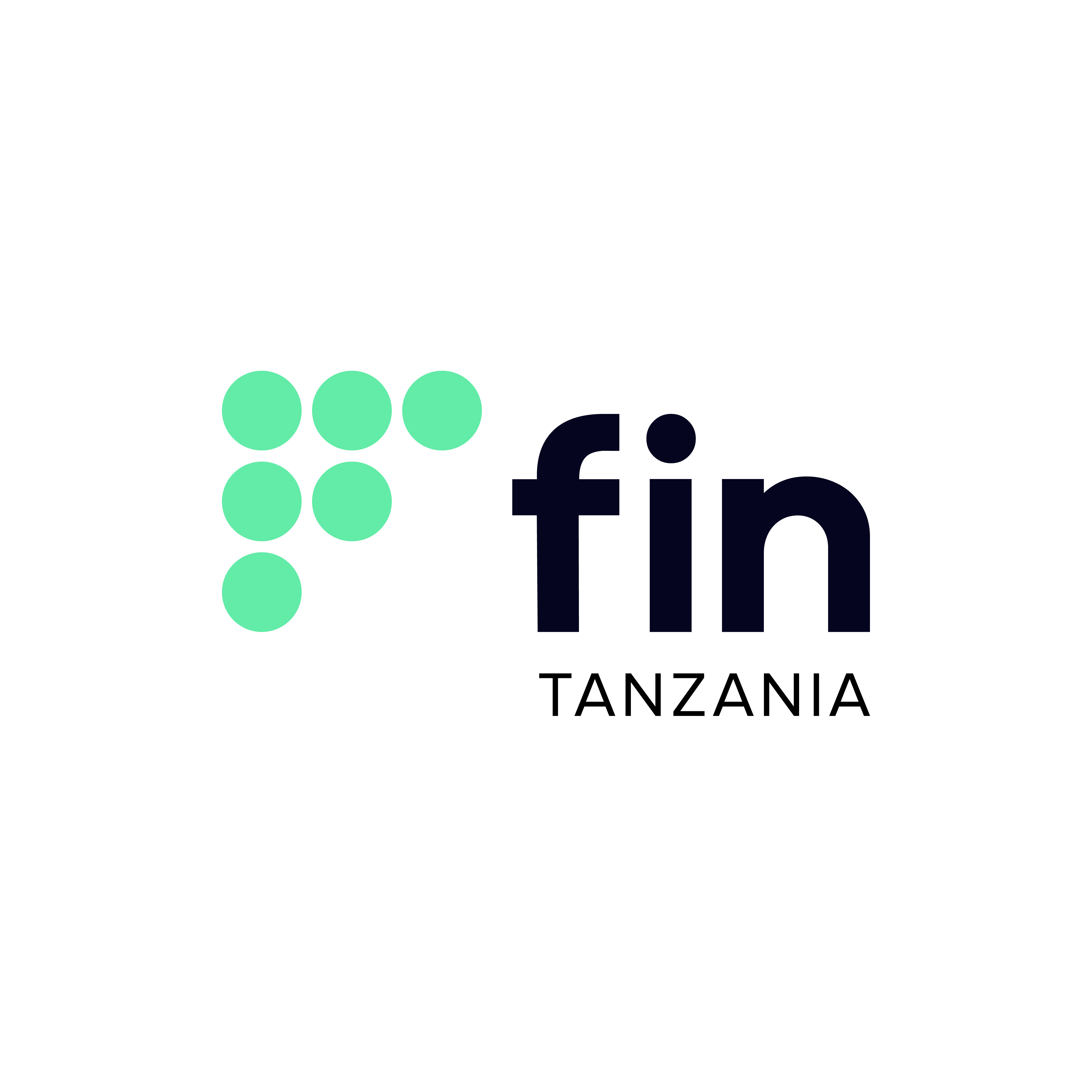 Fin Tanzania Logo-01